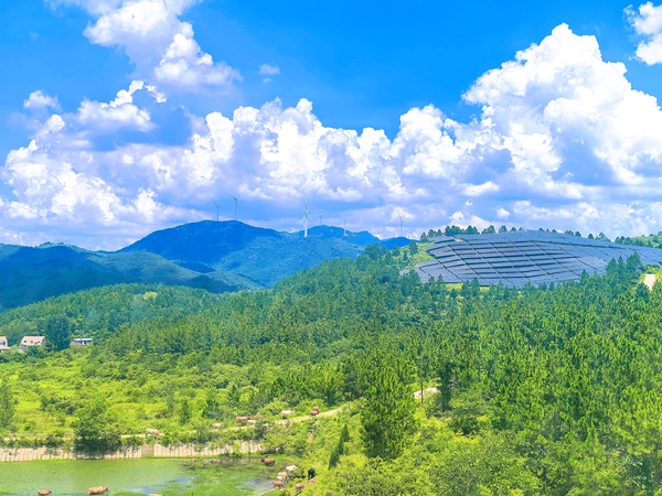 湖北广水景致一体发电站-1.jpg