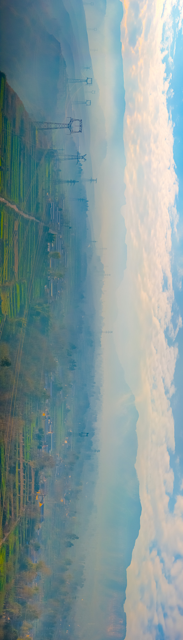 平明-何丽君.jpg